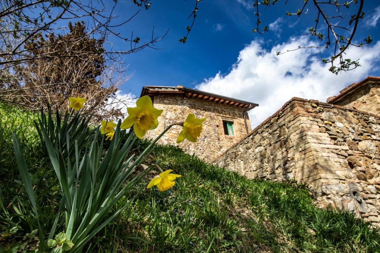فندق Campora House Tavarnelle Val di Pesa المظهر الخارجي الصورة