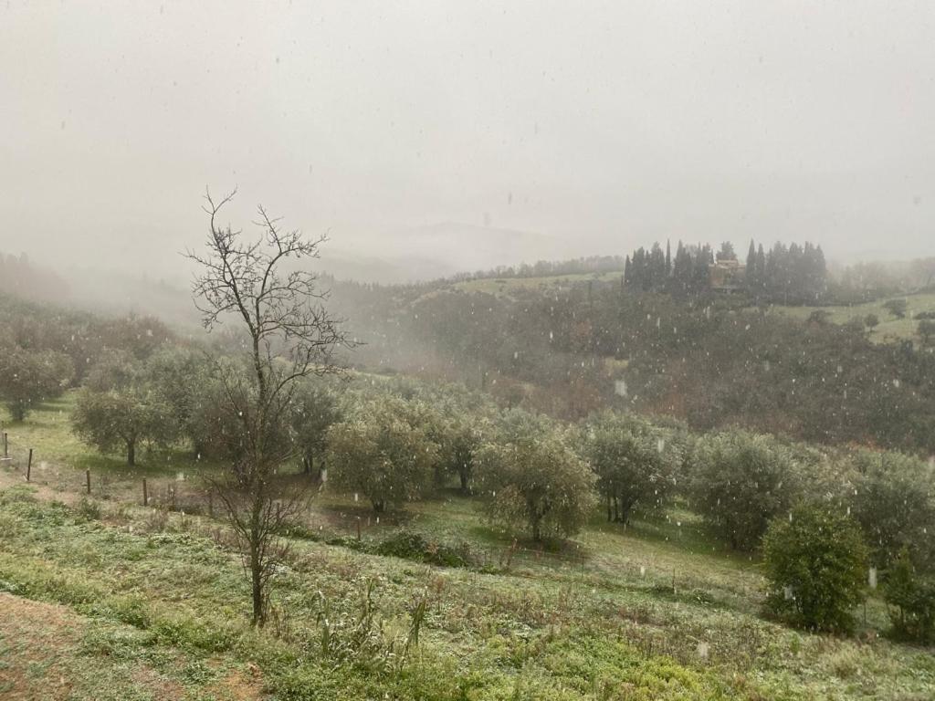 فندق Campora House Tavarnelle Val di Pesa المظهر الخارجي الصورة