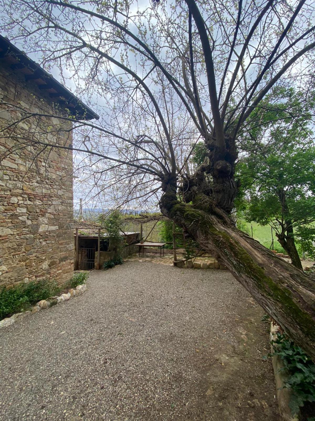 فندق Campora House Tavarnelle Val di Pesa المظهر الخارجي الصورة